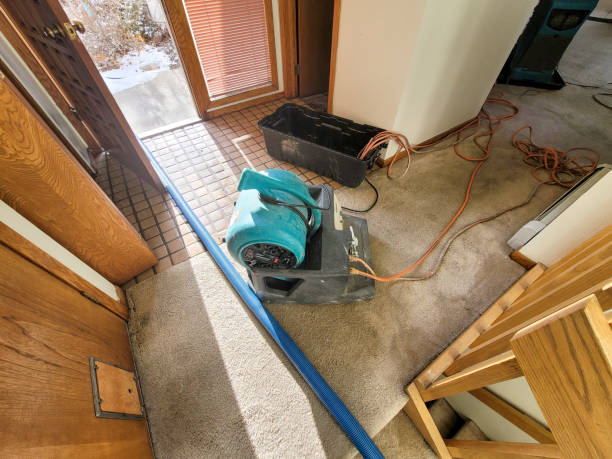 Best Flood damage cleanup  in Gordon, PA